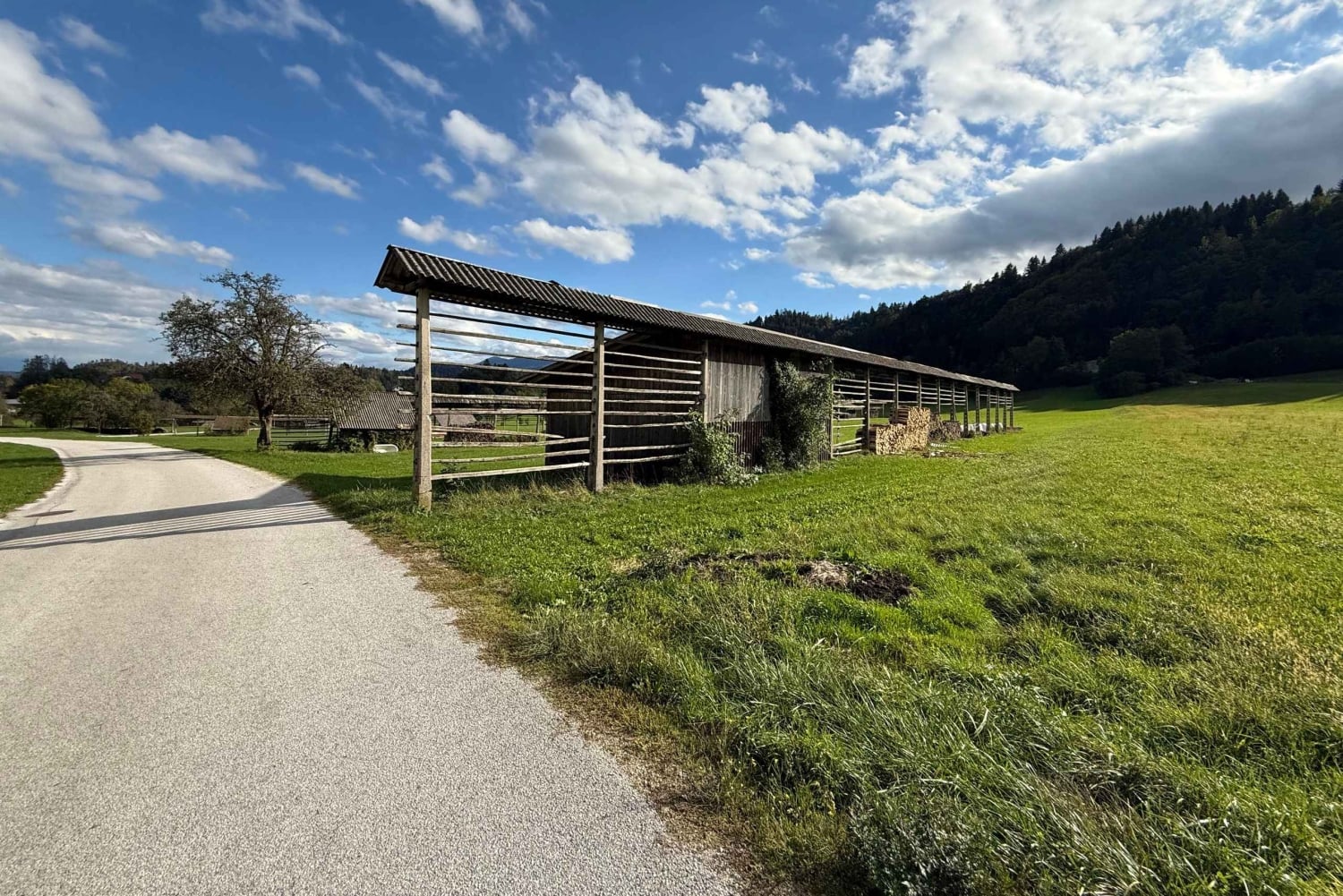 From Bled: Self Guided E-Bike Trip to Triglav National Park