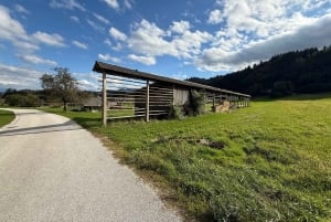 From Bled: Self Guided E-Bike Trip to Triglav National Park