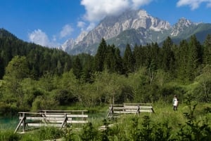 From Bled: Triglav National Park Day Trip