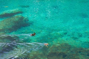 From Bled: Triglav National Park Day Trip