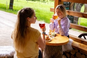 From Bled: Triglav National Park Day Trip