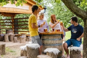 From Bled: Triglav National Park Day Trip