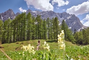 Bohinjista: Julian Alpit ja Kranjska Gora -päiväretki