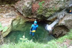 Z Bovec: Kanioning potoku Sušec w dolinie Soczy