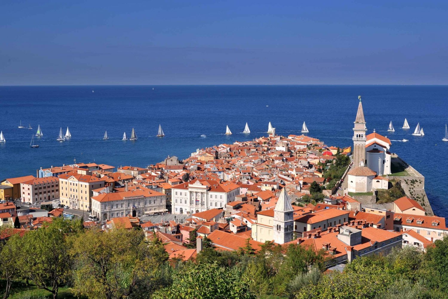 From Koper: Half-Day Hop-on Hop-off Style Coast Tour