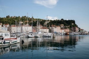 From Koper: Piran's Tastes and Tales