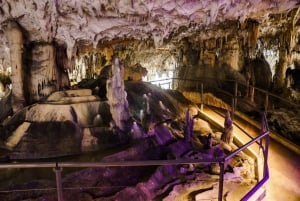 コペル発：ポストイナ洞窟とプレジャマ城のチケット付き