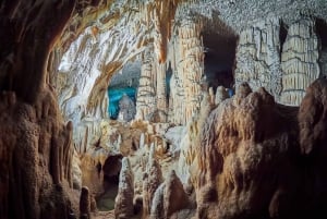コペル発：ポストイナ洞窟とプレジャマ城のチケット付き