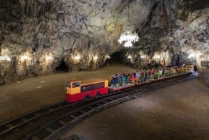 Из Краньска Горы: однодневная поездка в пещеру Постойна и замок Предьяма