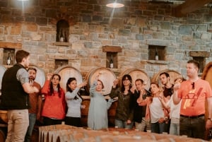 Da Lubiana: tour del vino sloveno