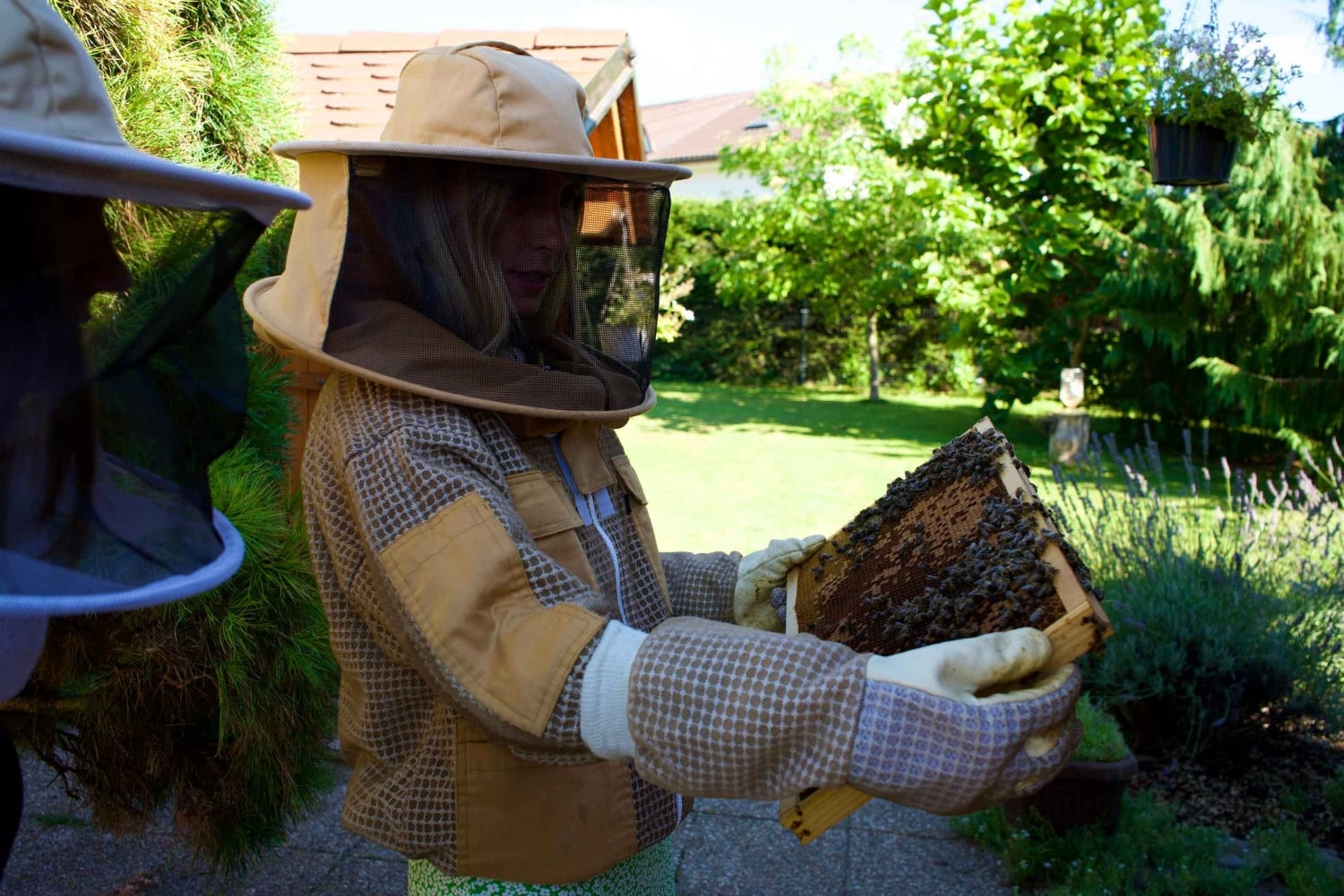 Aus Ljubljana: Alles über Bienen