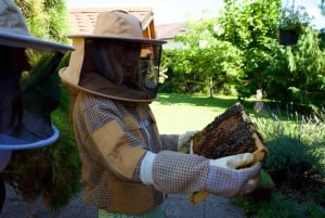 Aus Ljubljana: Alles über Bienen