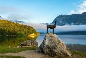 Z Lublany: Wycieczka 1-dniowa do Bledu i Bohinja + lokalny piknik