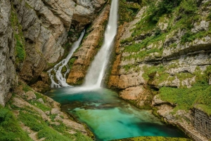 Из Любляны: однодневная поездка в Блед и Бохинь + местный пикник