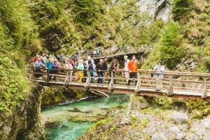 Depuis Ljubljana : Excursion à Bled et dans les gorges de Vintgar