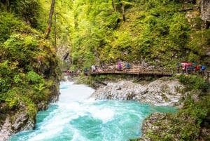 Da Lubiana: Escursione a Bled e alla Gola di Vintgar