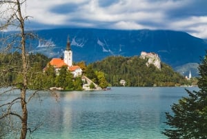 From Ljubljana: Lake Bled and Bled Castle Tour