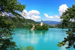 Ljubljanasta: Bled-järven ja Bledin linnan kiertoajelu