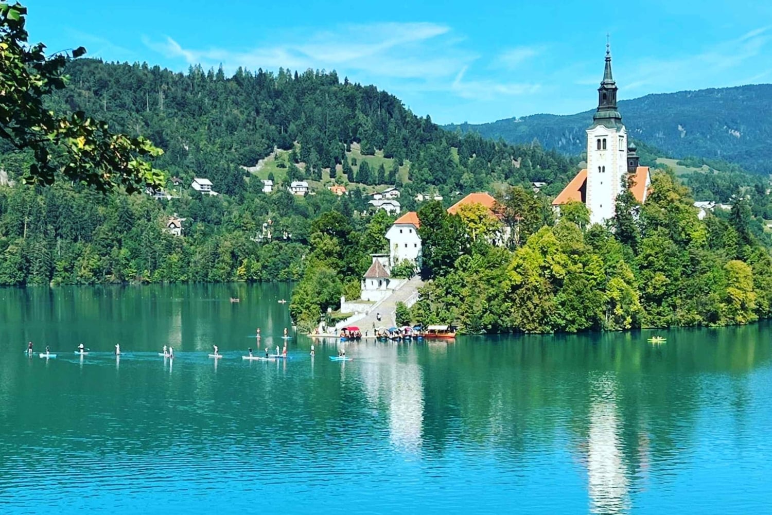 Fra Ljubljana: Dagstur til Bled-sjøen og Postojna-hulen