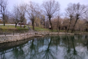 Fra Ljubljana: Dagstur til Bled-sjøen og Postojna-hulen