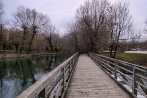 Fra Ljubljana: Dagstur til Bled-sjøen og Postojna-hulen