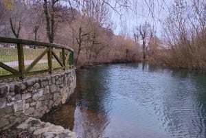 Von Ljubljana aus: Tagesausflug zum Bleder See und zur Höhle von Postojna