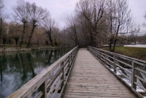Vanuit Ljubljana: dagtrip naar het meer van Bled en de grot van Postojna