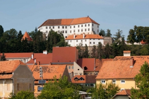 From Ljubljana: Maribor, Ptuj & Heart of the Vineyards