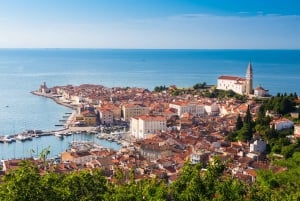 From Ljubljana: Piran with historical walking tour