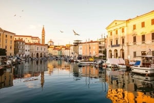 From Ljubljana: Piran with historical walking tour