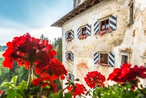 From Ljubljana: Postojna Cave & Lake Bled Trip