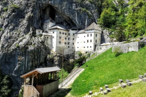 Da Lubiana: Tour delle grotte di Postumia e del castello di Predjama