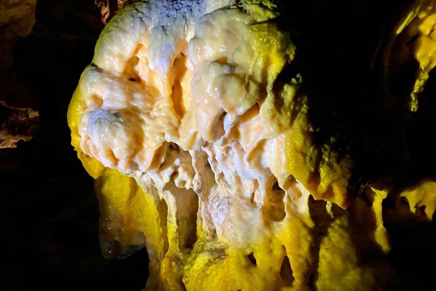 Von Ljubljana aus: Tagesausflug zur Höhle von Postojna