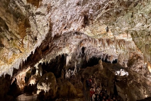 From Ljubljana: Postojna Cave Day Trip