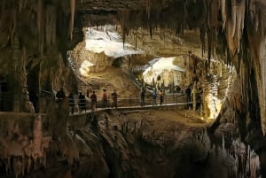 Из Любляны: экскурсия с гидом в пещеру Постойна и Предъямский замок