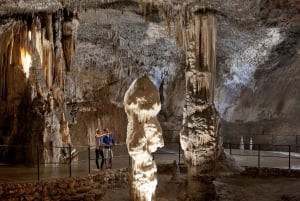 Fra Ljubljana: Postojna-grotten og Predjama-slottet på en halv dag