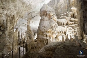リュブリャナ発：ポストイナ洞窟、プレジャマ城、ピラン ツアー
