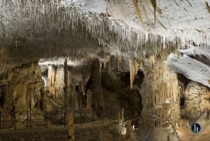 Fra Ljubljana: Postojna-grotten og Predjama-slottet og Piran-tur