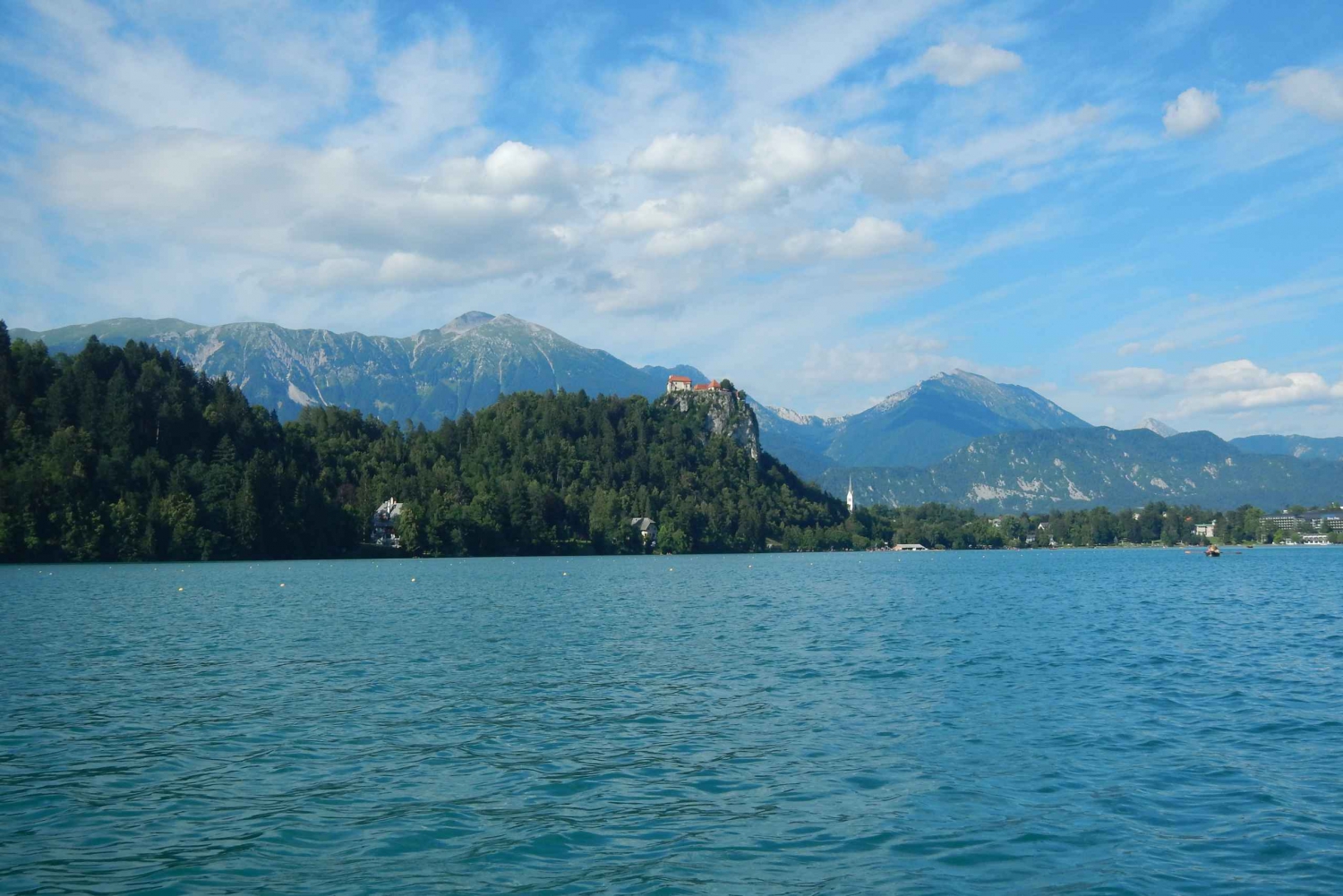 From Ljubljana: Private Bled Lake Day Trip