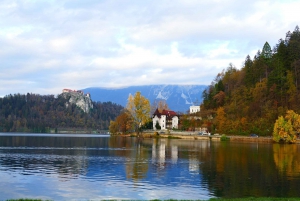 From Ljubljana: Private Bled Lake Day Trip