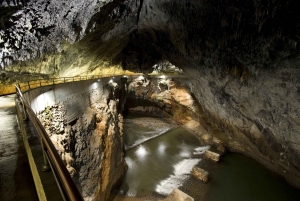 From Ljubljana: Škocjan Caves and Karst Region