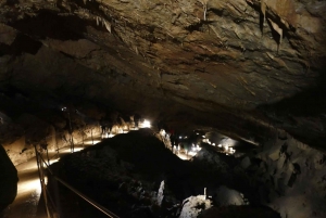 From Ljubljana: Skočjan Caves Half-Day Trip
