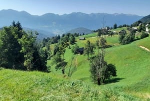 Fra Ljubljana: Tur til Triglav Nationalpark (privat)