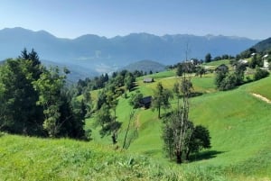 Z Lublany: Wycieczka do Parku Narodowego Triglav