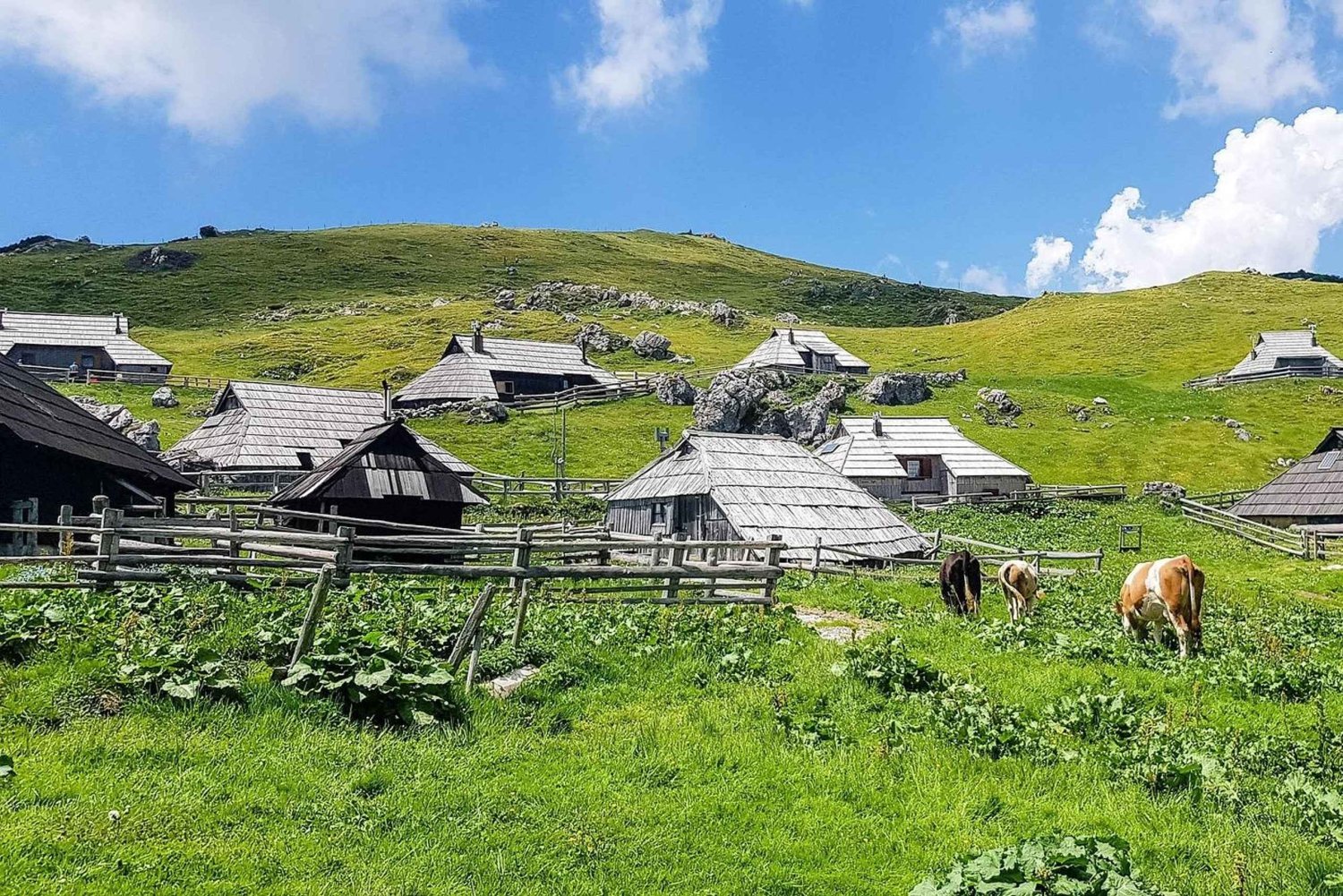 Från Ljubljana: Guidad vandring på Velika Planina