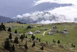 Från Ljubljana: Guidad vandring på Velika Planina