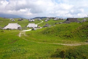 Från Ljubljana: Guidad vandring på Velika Planina