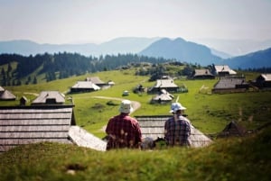 Från Ljubljana: Guidad vandring på Velika Planina