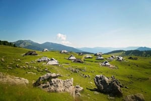 Från Ljubljana: Guidad vandring på Velika Planina
