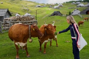 From Ljubljana: Velika Planina Tour with Meal & Photos